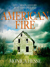 Cover image for American Fire